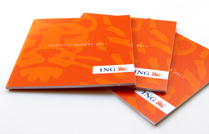 Activity Report 2011