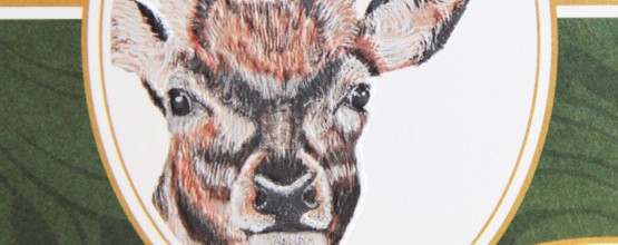 Frank_INV_IMG_5209 1_Icon